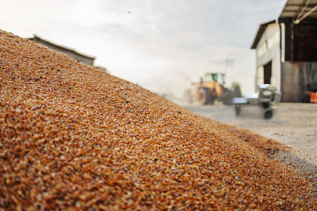 Máquina de ensacar silagem é melhor para a produção